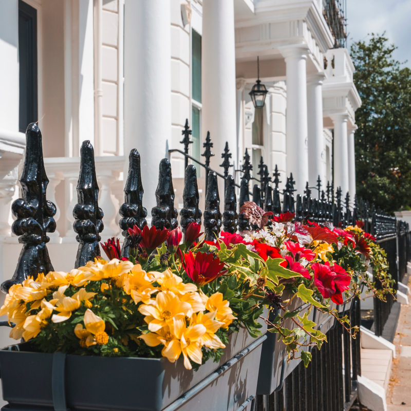 Flower pots hanging on railing of luxurious property in Pembridge Gardens. Residential house by footpath. Modern apartment in London on sunny day.